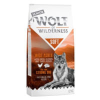 Wolf of Wilderness Senior