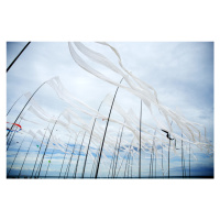 Fotografie Wind, gusBO, 40 × 26.7 cm