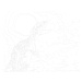 Malování podle čísel - TYRANNOSAURUS REX V NOCI Rozměr: 40x50 cm, Rámování: bez rámu a bez vypnu