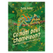 Co nám poví chameleon | Zora Sládková