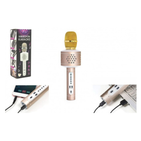 Mikrofon karaoke - Bluetooth zlatý na baterie s USB kabelem Teddies