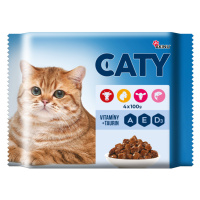 Caty Kapsičky pro kočky 4x 100 g mix