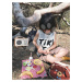 Dřevěná sada na výlet Little Bear's Picnic Tender Leaf Toys s taškou a potravinami