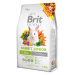 BRIT Animals rabbit junior complete krmivo pro králíky 1,5 kg