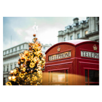 Fotografie An Illuminated Christmas Tree and Red, Tim Grist Photography, 40 × 30 cm