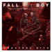 Fall Out Boy: Believers Never Die Vol. 2 - CD