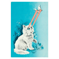 Fotografie Cat with laser eyes for bird, CSA Images, 26.7 × 40 cm