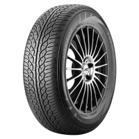 Yokohama PARADA Spec-X (PA02) ( 285/30 R22 101V XL, RPB )