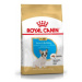 Royal Canin breed francouzský buldoček junior 3kg