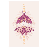 Fotografie Vector pattern with night moths and, Iryna Shorokhova, (26.7 x 40 cm)