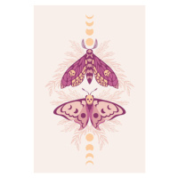 Fotografie Vector pattern with night moths and, Iryna Shorokhova, 26.7 × 40 cm