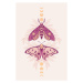 Fotografie Vector pattern with night moths and, Iryna Shorokhova, (26.7 x 40 cm)