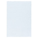 Ayyildiz koberce Kusový koberec Sydney Shaggy 3000 white Rozměry koberců: 60x110