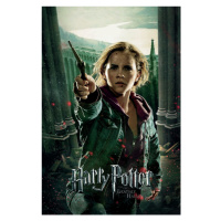 Umělecký tisk Harry Potter - Hermione Granger, 26.7 × 40 cm