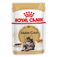 Royal Canin Maine Coon Adult v omáčce - 24 x 85 g