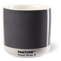 Pantone Latte termo 0,21 l Cool Gray