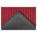 Hanse Home Collection koberce DOPRODEJ: 40x60 cm Rohožka Mix Mats Striped 105649 Red - na ven i 