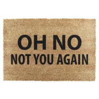 Rohožka z kokosového vlákna 40x60 cm Not You Again – Artsy Doormats