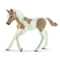 Schleich Zvířátko - Hříbě plemene Paint Horse