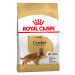 Royal Canin Cocker Adult - 12 kg