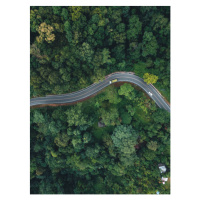 Umělecká fotografie Green road up the mountain in the rainy season, ArtRachen01, (30 x 40 cm)