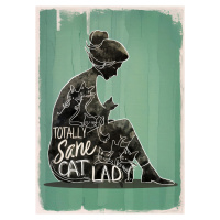 Ilustrace Totally Sane Cat Lady, Andreas Magnusson, (30 x 40 cm)