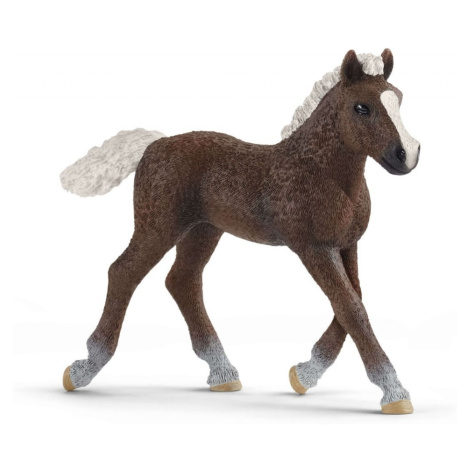 Schleich 13899 černé lesní hříbě