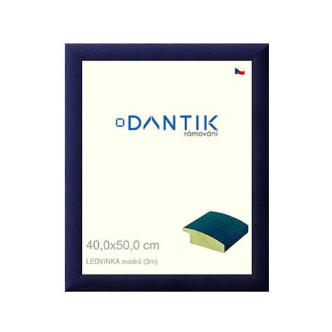 DANTIK rámeček 40 × 50, LEDVINKA modrý plexi čiré