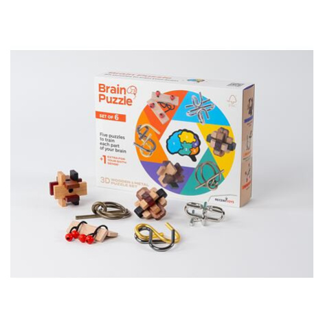 RECENTTOYS Brain Puzzle - sada 6 kusů SmartLife