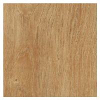 Vinyl Floor Forever Style Floor click Rigid Dub Natur 1806