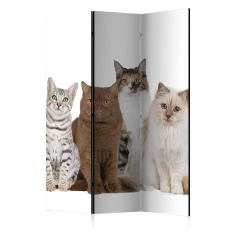 Paraván Sweet Cats Dekorhome 225x172 cm (5-dílný) Artgeist