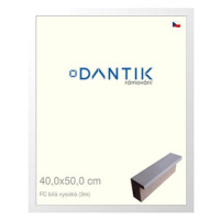 DANTIK rámeček 40 × 50, FC Bílý vysoký plexi čiré