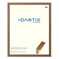 DANTIK rámeček 40 × 50, KASSETTE ořech sklo čiré