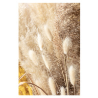 Fotografie Dried Bouquet, Studio Collection, 26.7 × 40 cm