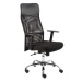 Kancelářská židle BREVIRO PLUS, černá