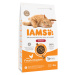 IAMS Advanced Nutrition Indoor Cat s kuřecím - 3 kg