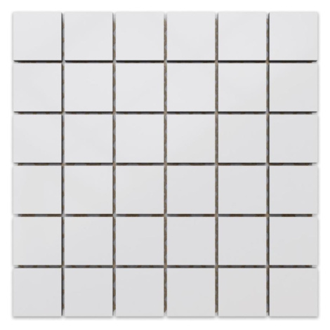 Mozaika Blanco Mate (4,8x4,8) 30/30 AQUA MERCADO