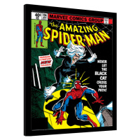 Obraz na zeď - Spider-Man - Black Cat