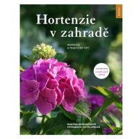 Hortenzie v zahradě - Inspirace a praktické tipy