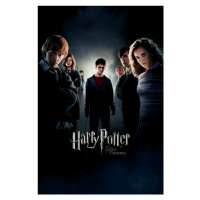 Umělecký tisk Harry Potter - Fenixův řád, 26.7 × 40 cm