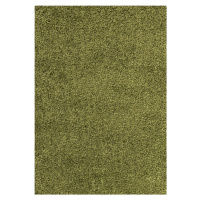 Ayyildiz koberce Kusový koberec Dream Shaggy 4000 green - 60x110 cm