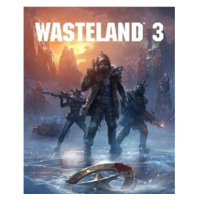 Wasteland 3 - PC DIGITAL