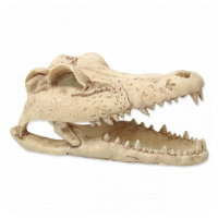 Repti Planet Dekorace Krokodýl lebka 13,8x6,8x6,5cm