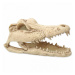 Repti Planet Dekorace Krokodýl lebka 13,8x6,8x6,5cm