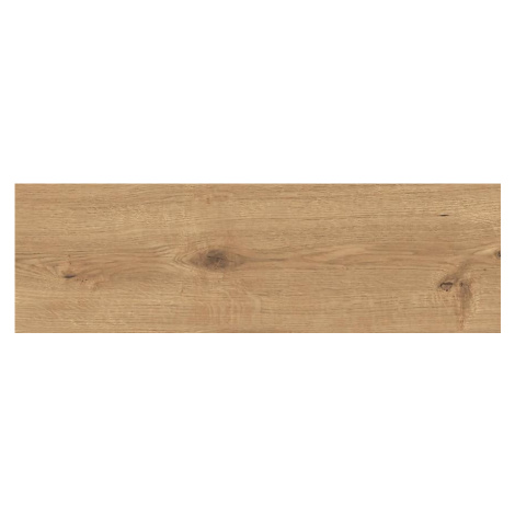Dlažba Orginal wood brown 18,5/59,8 CERSANIT