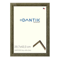 DANTIK rámeček 29,7 × 42, SARTORI listy stříb plexi čiré