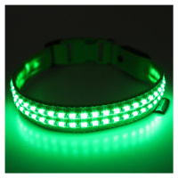 Reedog luminous USB svíticí obojek pro malé, střední a velké psy - zelená - M