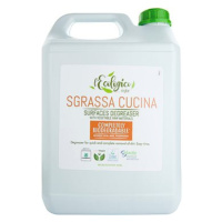 ICEFOR L'Ecologico Sgrassa Cucina 5 l