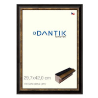 DANTIK rámeček 29,7 × 42, TRITON černý plexi čiré