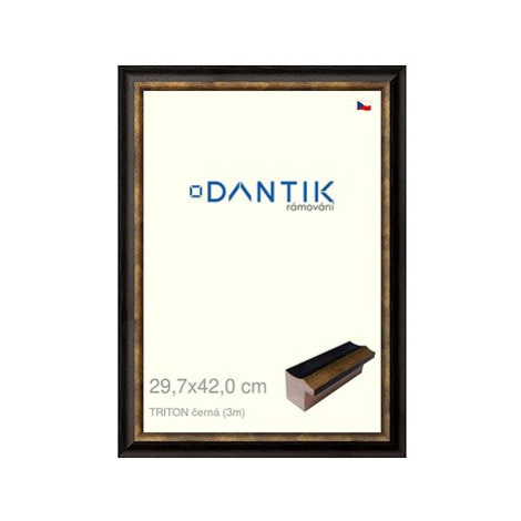 DANTIK rámeček 29,7 × 42, TRITON černý plexi čiré